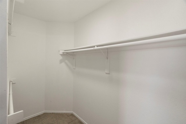 spacious closet with carpet