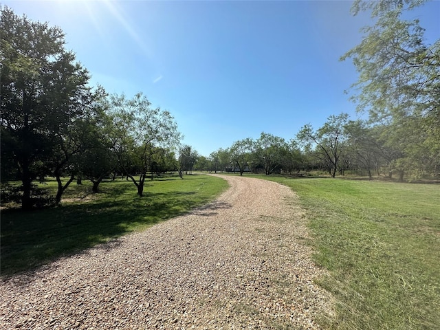 view of road