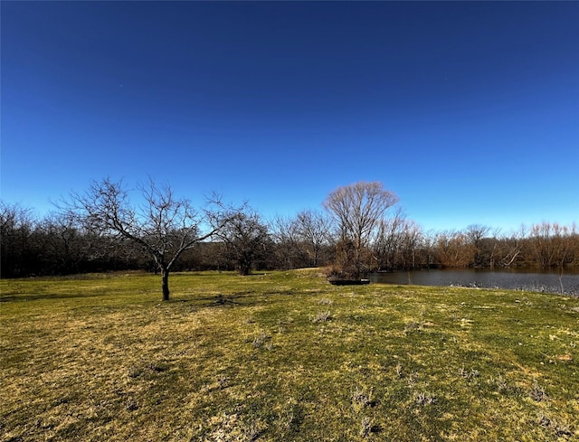 view of yard with a water view