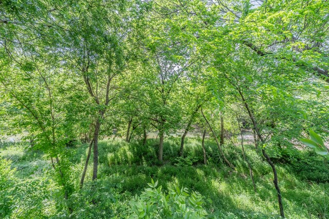 6800 Riverridge Rd, Fort Worth, TX 76116 - view of local wilderness