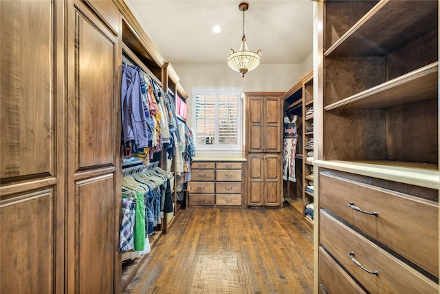 walk in closet featuring dark wood finished floors