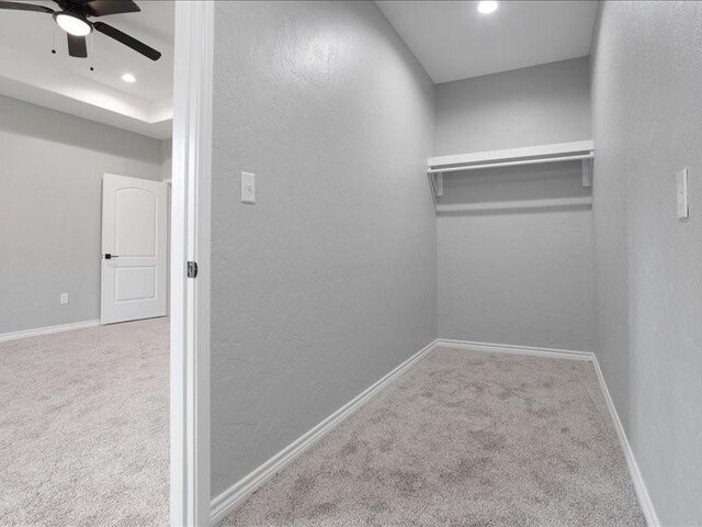 walk in closet featuring carpet floors, a raised ceiling, and ceiling fan