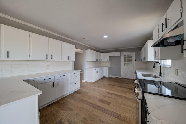 kitchen featuring crown molding, wood finished floors, a sink, light stone countertops, and under cabinet range hood