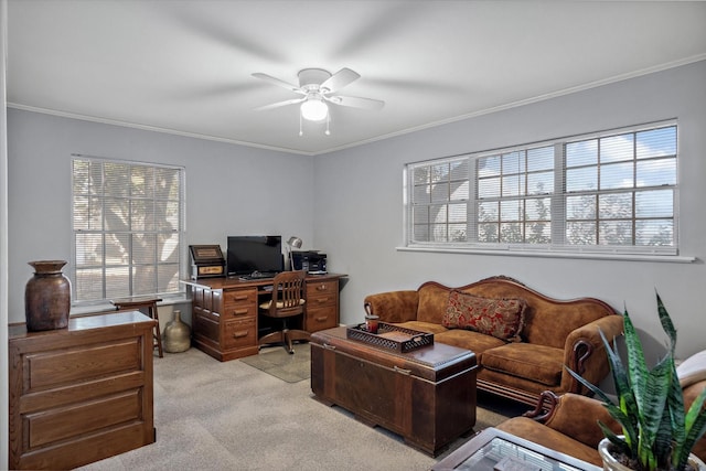 office featuring a ceiling fan, crown molding, and light colored carpet