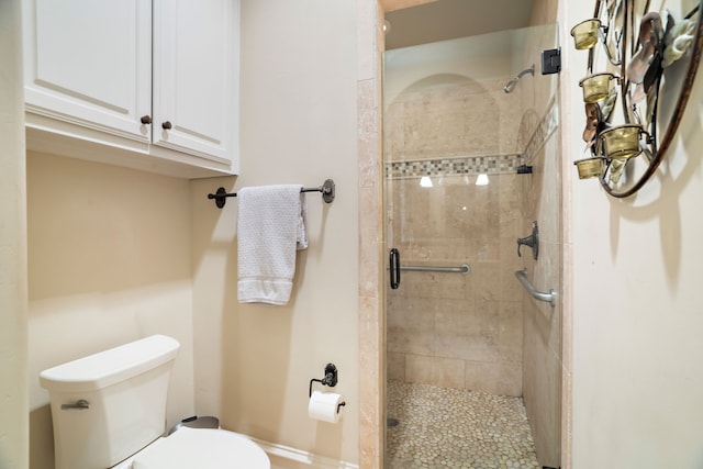 bathroom with toilet and a stall shower