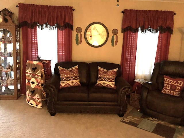 living area with carpet flooring