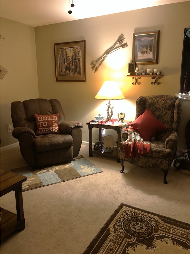 living area featuring carpet flooring