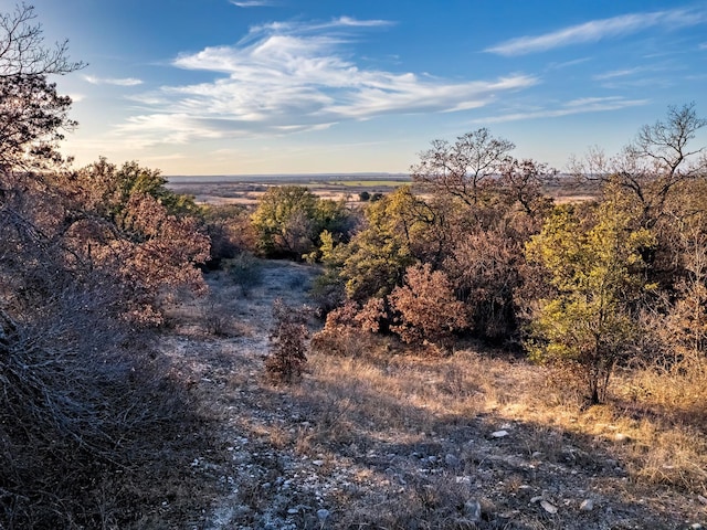 351 County Road 477, Coleman TX, 76834 land for sale