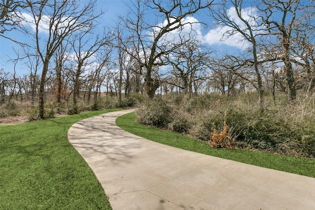 view of community featuring a yard