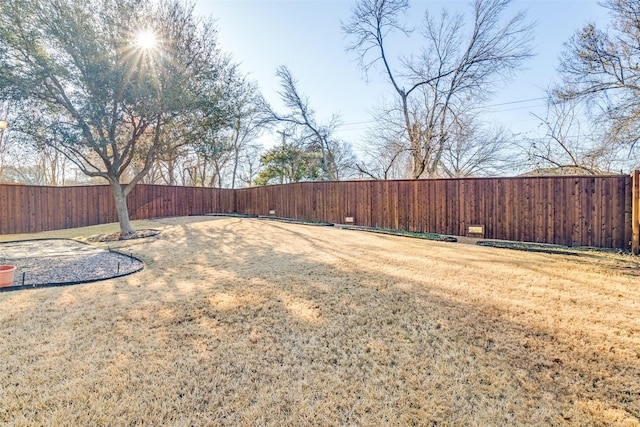 view of yard featuring a fenced backyard