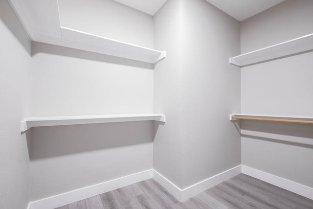 spacious closet featuring wood finished floors