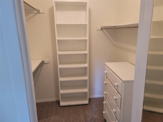 4859 Cedar Springs Rd Unit 147, Dallas, TX 75219 - walk in closet with dark colored carpet