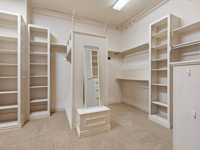 spacious closet featuring carpet flooring