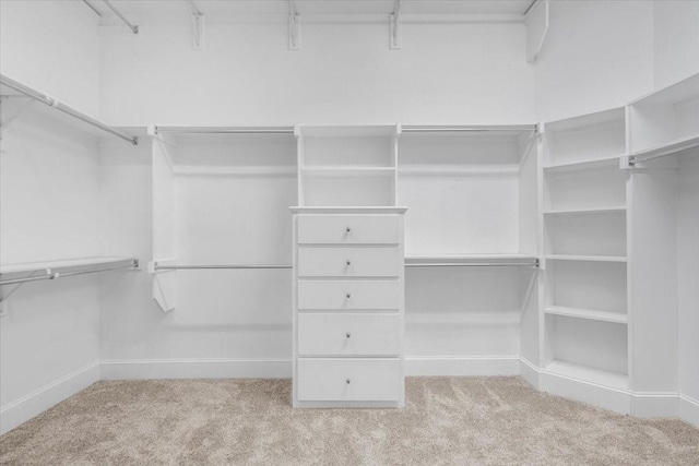 spacious closet featuring carpet floors