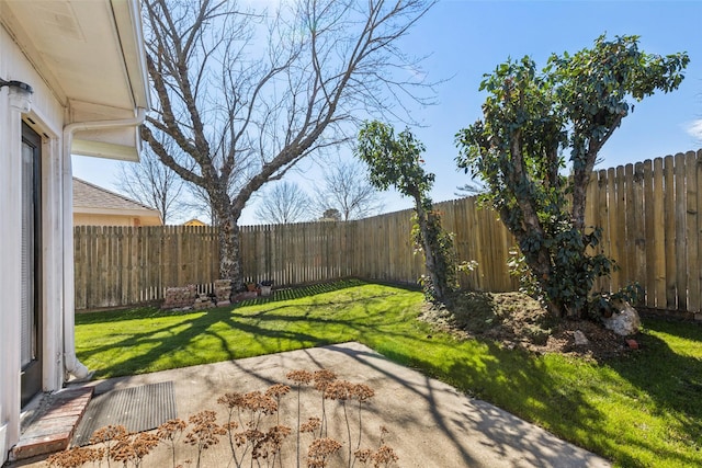 view of yard featuring a patio area and a fenced backyard