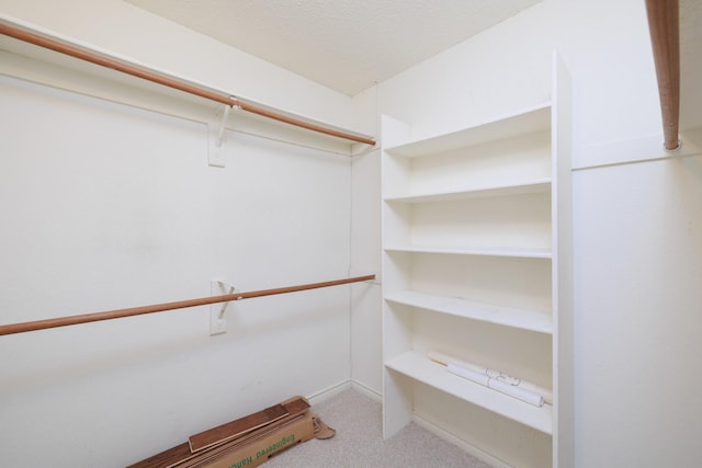 spacious closet with carpet