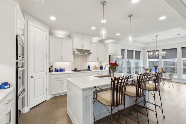 1600 Pebblebrook Ln, Prosper, TX 75078 - kitchen with under cabinet range hood, wood finished floors, a sink, stainless steel appliances, and backsplash