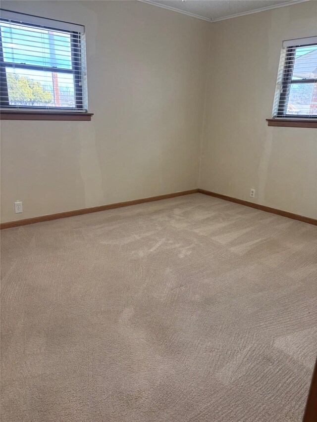 carpeted empty room with ornamental molding and baseboards