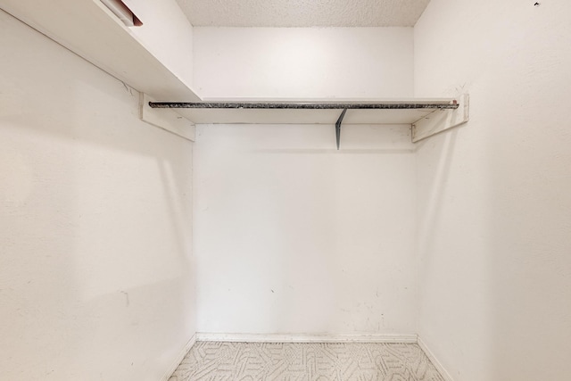 spacious closet featuring carpet floors