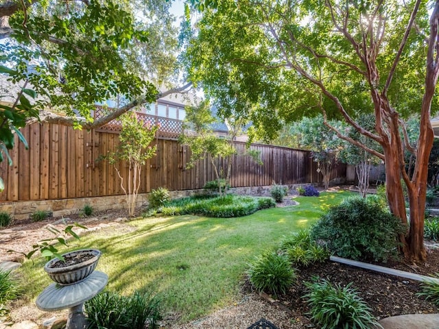 view of yard featuring a fenced backyard