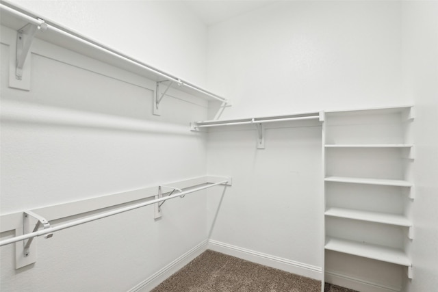 spacious closet with dark colored carpet