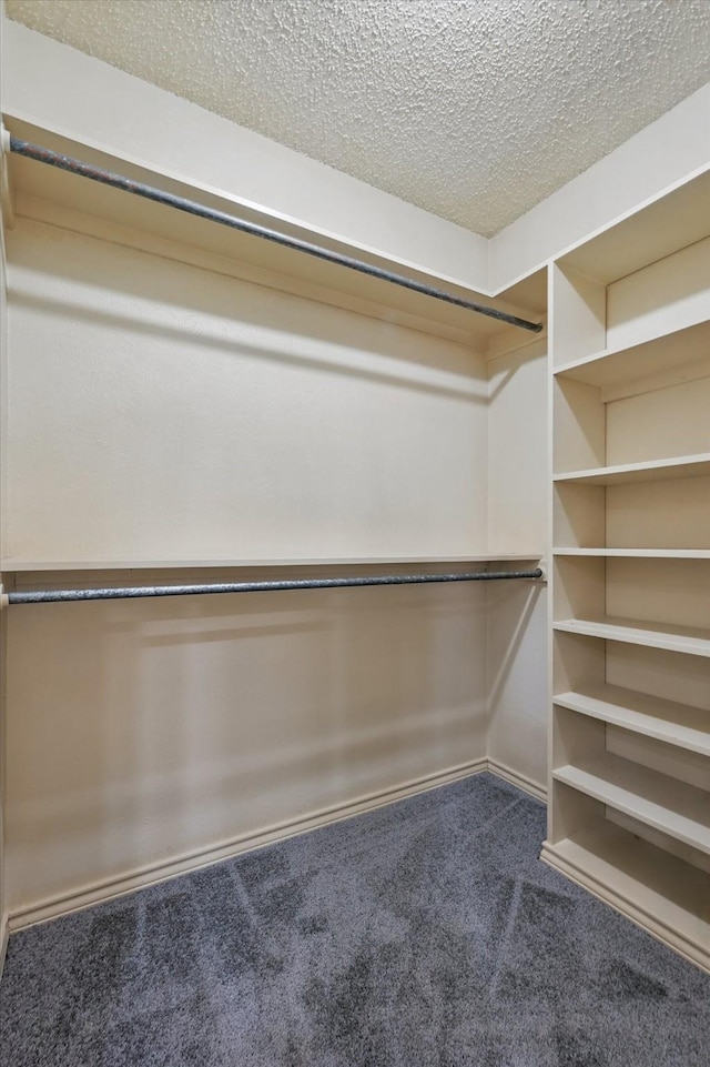 walk in closet with carpet