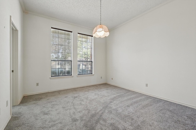 carpeted spare room featuring crown molding and a textured ceiling