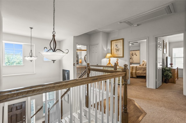 hall featuring visible vents, carpet flooring, an upstairs landing, and attic access