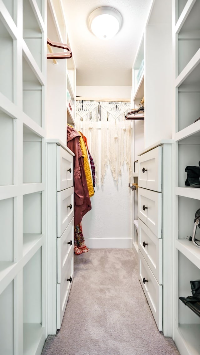 walk in closet with light carpet