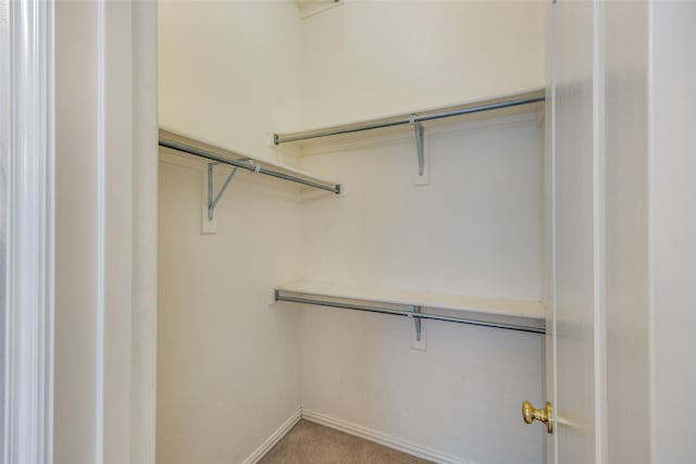 spacious closet with light colored carpet