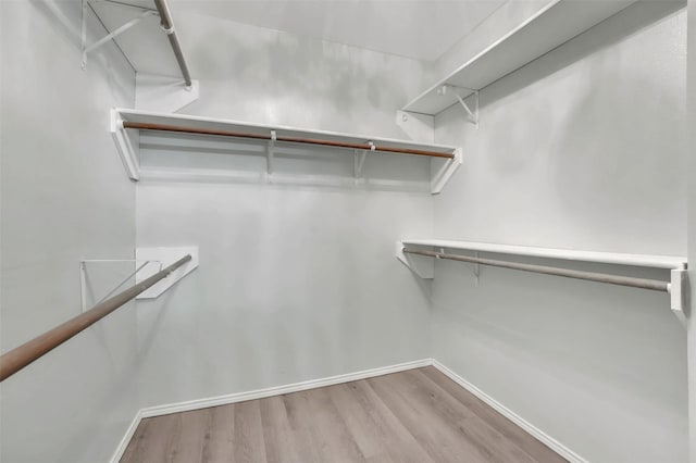 walk in closet featuring wood finished floors