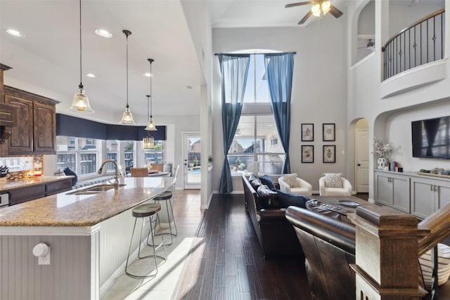 kitchen with ceiling fan, light stone counters, a kitchen island with sink, wood finished floors, and a sink