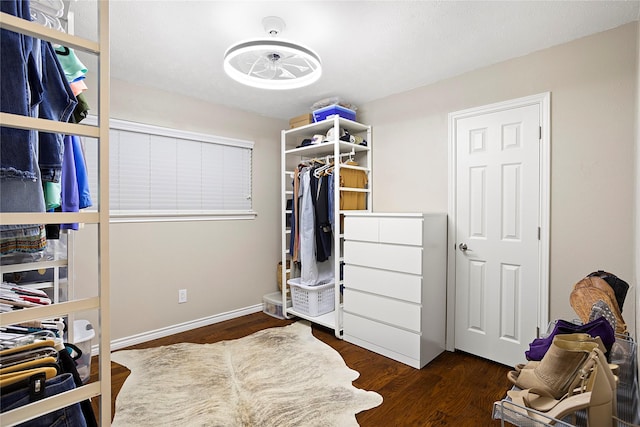 spacious closet with dark wood-style flooring