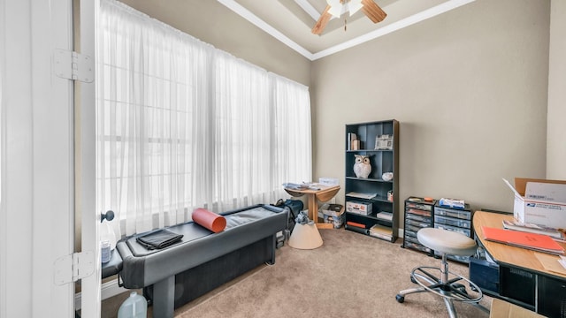 office space with carpet floors, a raised ceiling, crown molding, and a ceiling fan