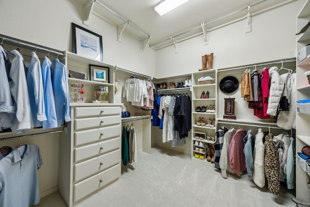 spacious closet featuring carpet floors