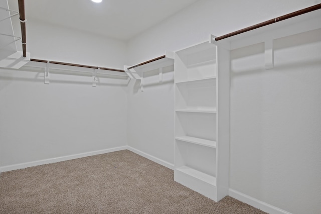 walk in closet featuring carpet floors