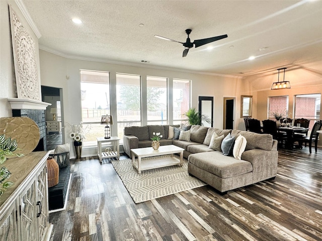 living area with ornamental molding, dark wood finished floors, and a textured ceiling