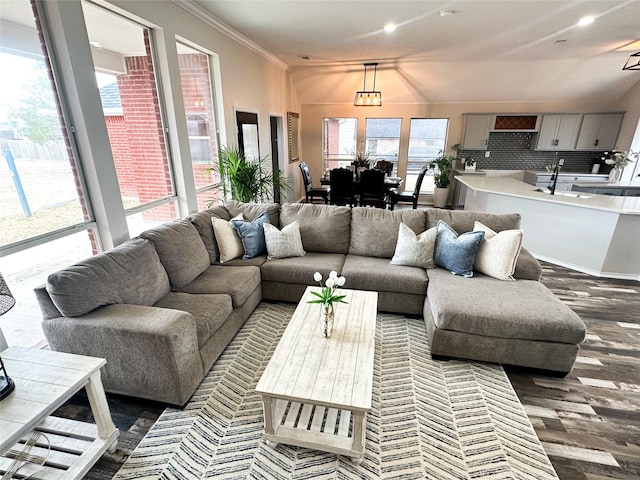 living area featuring dark wood-type flooring and crown molding