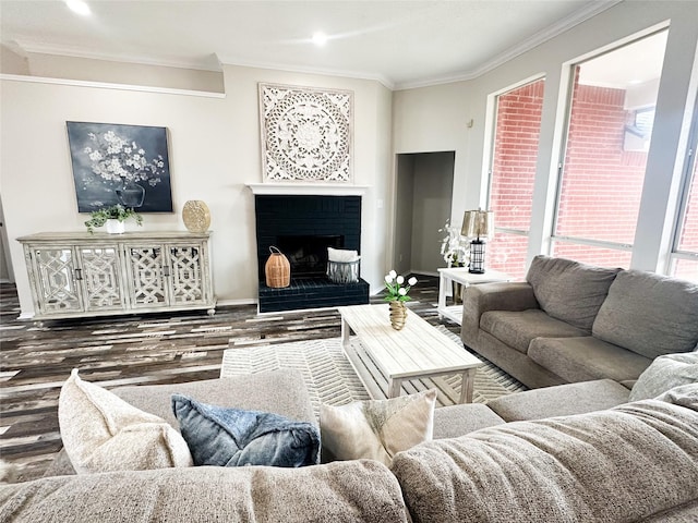 living room with a fireplace, crown molding, and wood finished floors