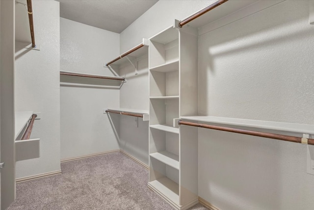 walk in closet featuring carpet