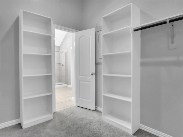 walk in closet with carpet flooring