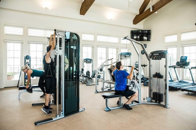 exercise room featuring a high ceiling