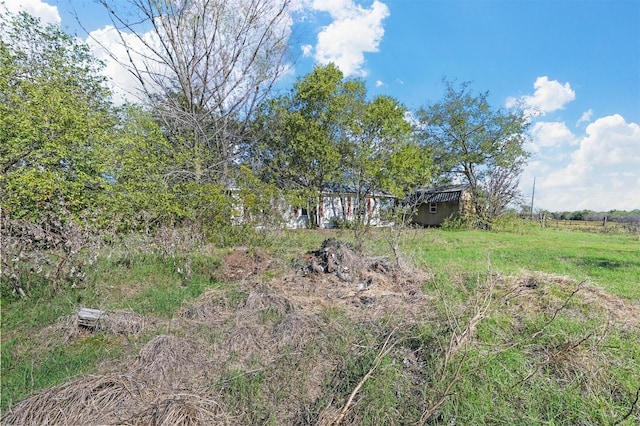 view of yard featuring an outdoor structure and a shed