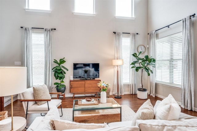 2064 Olivereta Dr, Little Elm, TX 75068 - living area with a high ceiling, wood finished floors, and baseboards
