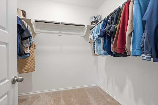 walk in closet featuring carpet flooring