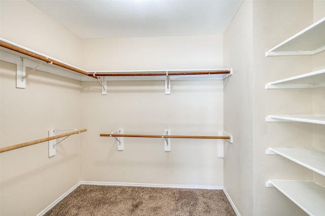 walk in closet featuring carpet floors