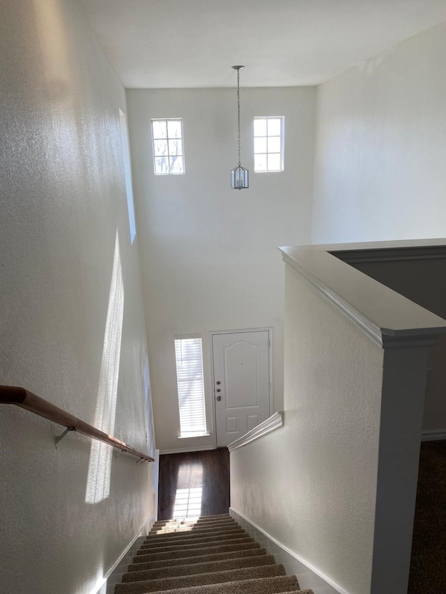 stairs featuring a towering ceiling and wood finished floors