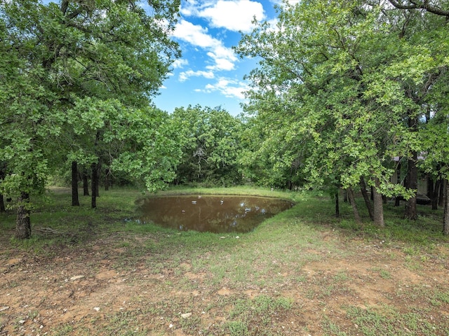 102 W Ridge St, Decatur, TX 76234 - view of yard with a water view