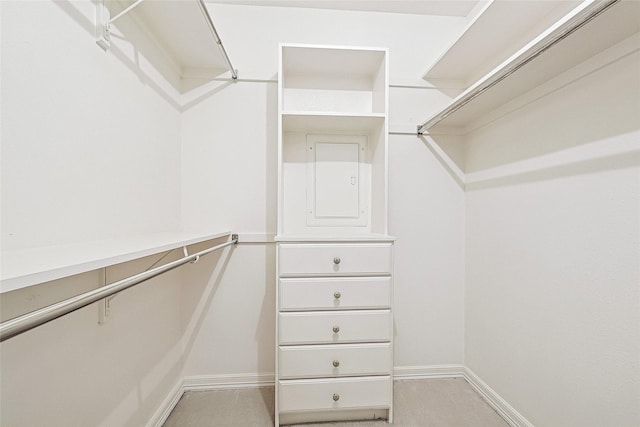 view of walk in closet