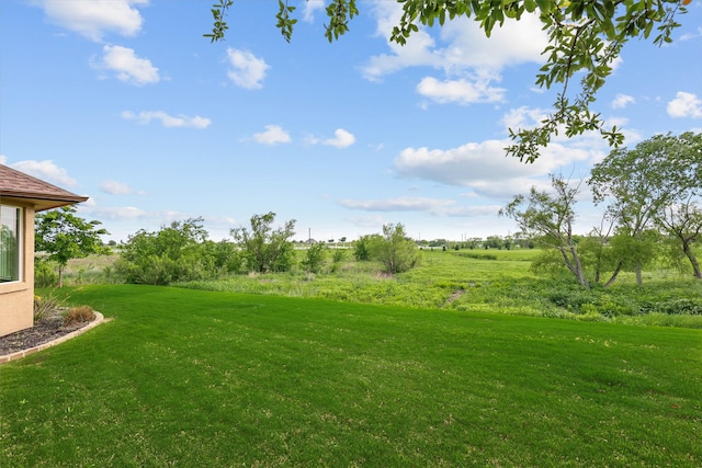 10112 Parkcrest Ct, Denton, TX 76207 - view of yard